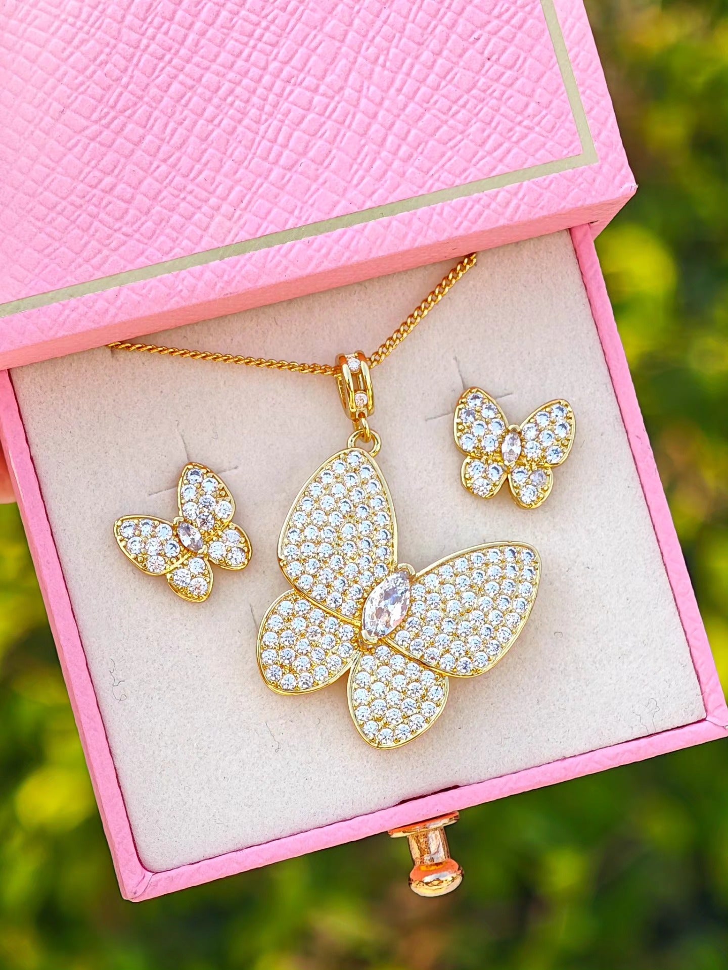 Set de Mariposa Brillante