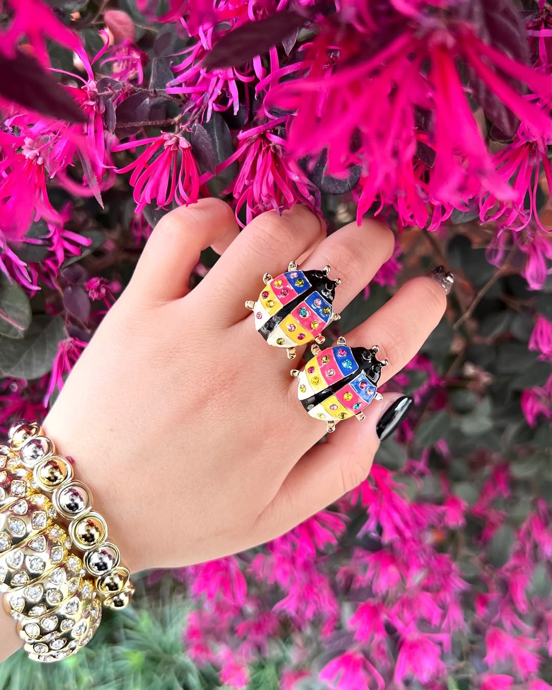 Anillo Catarina Colores