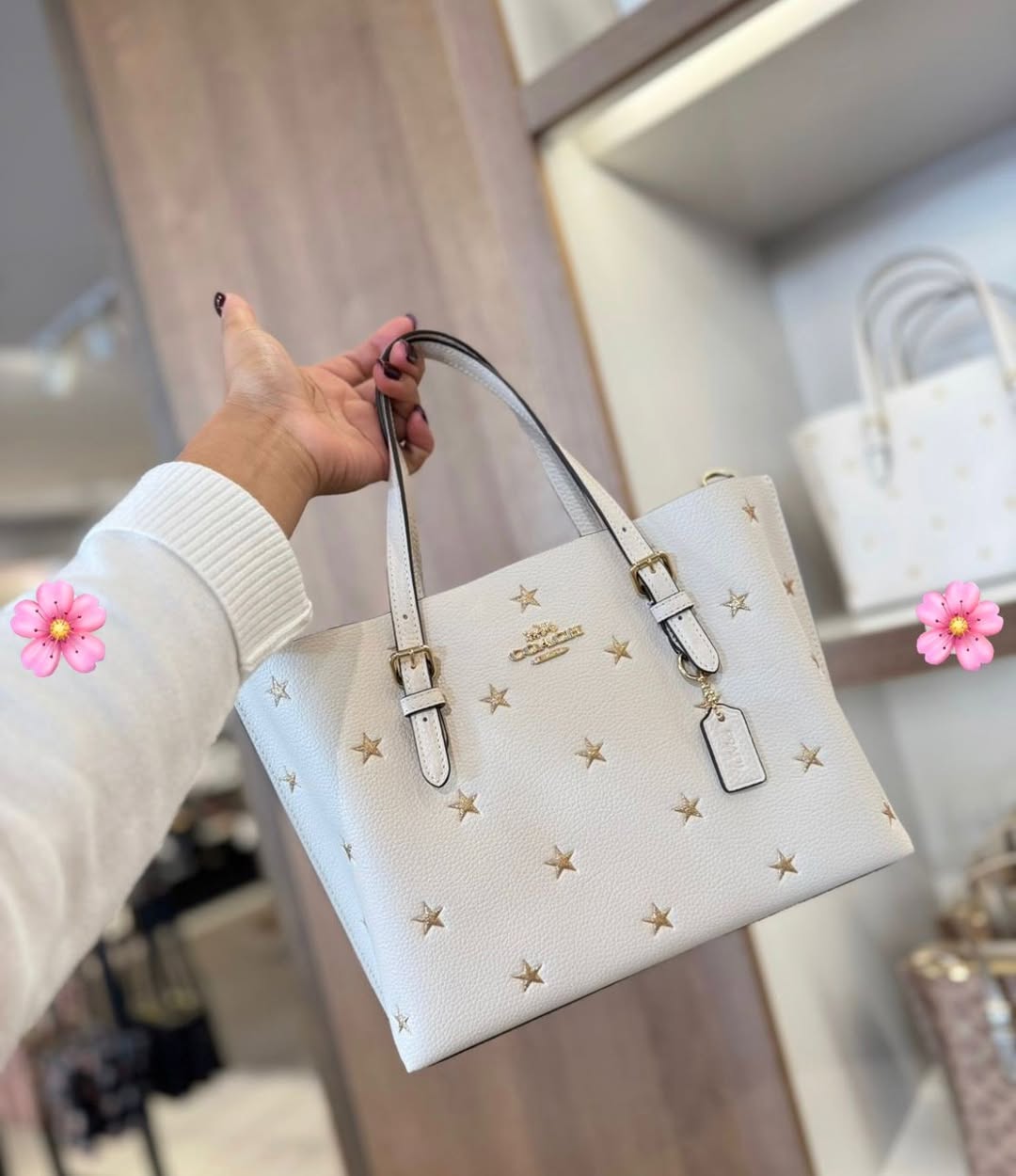 Bolsa Coach