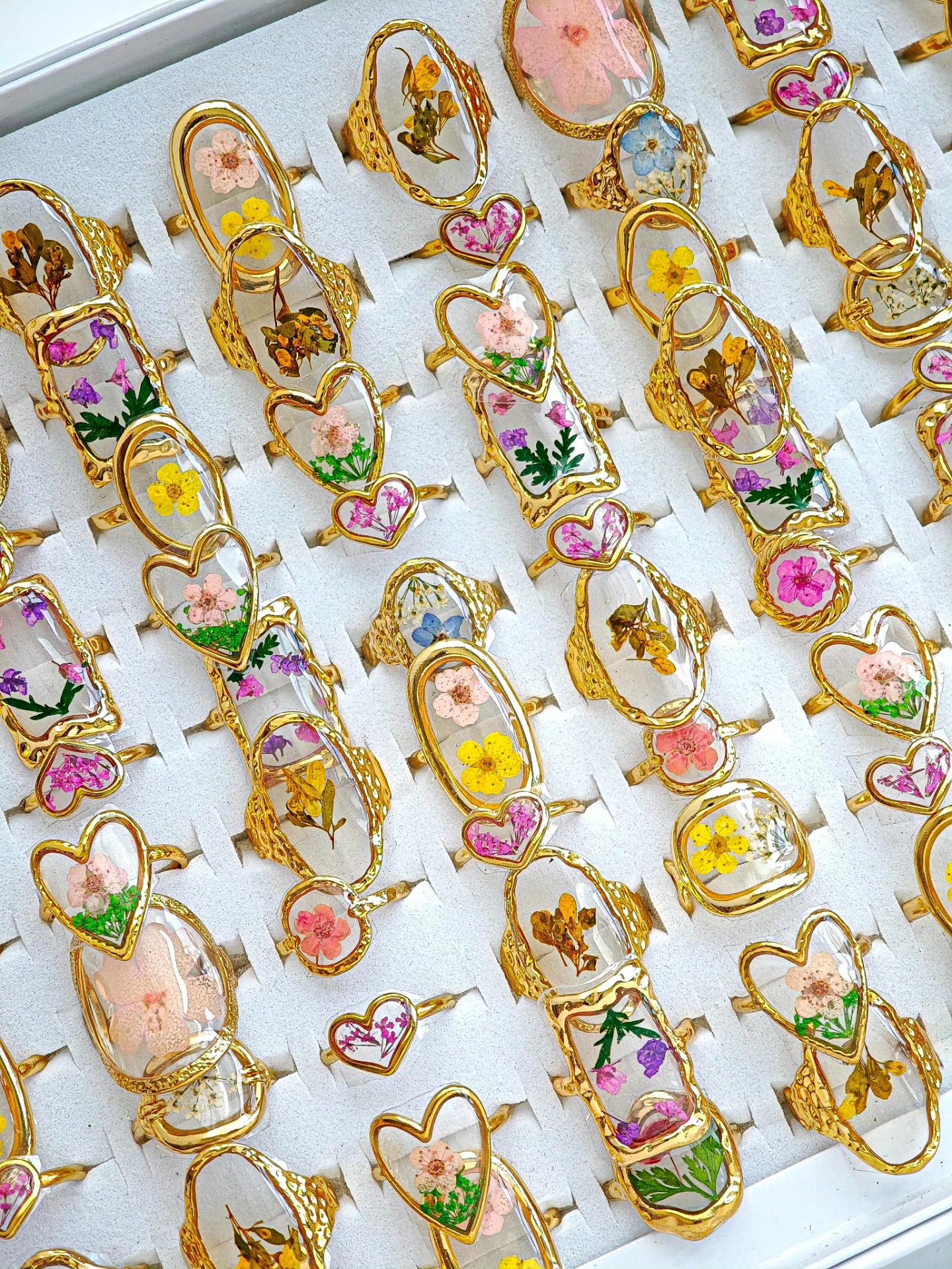 Anillo de Naturaleza