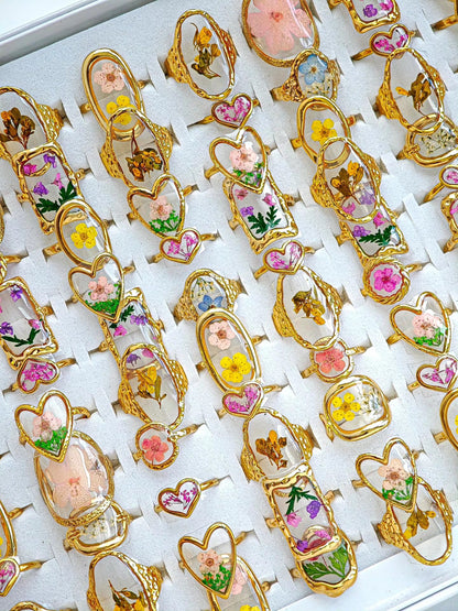 Anillo de Naturaleza