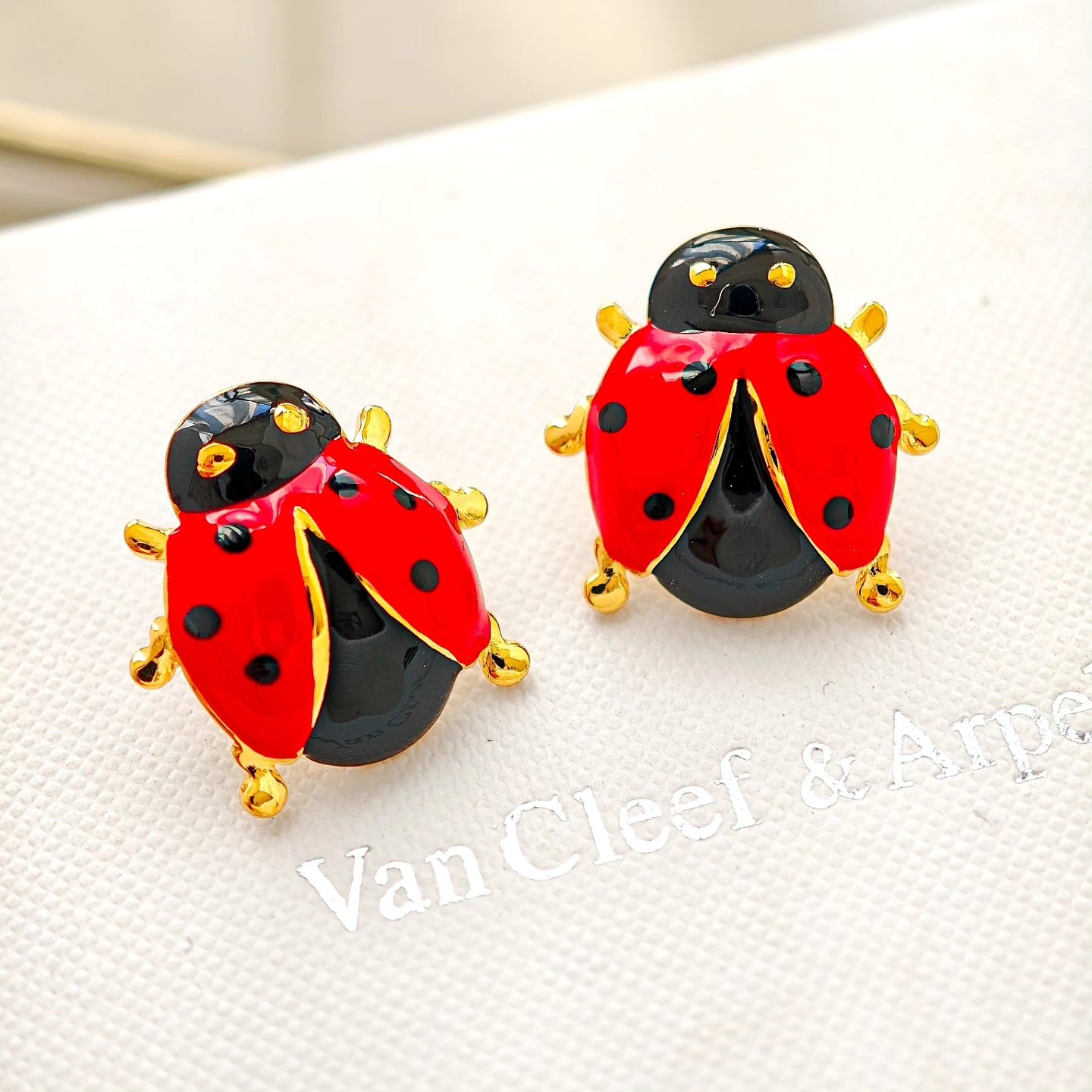 Aretes de Catarina