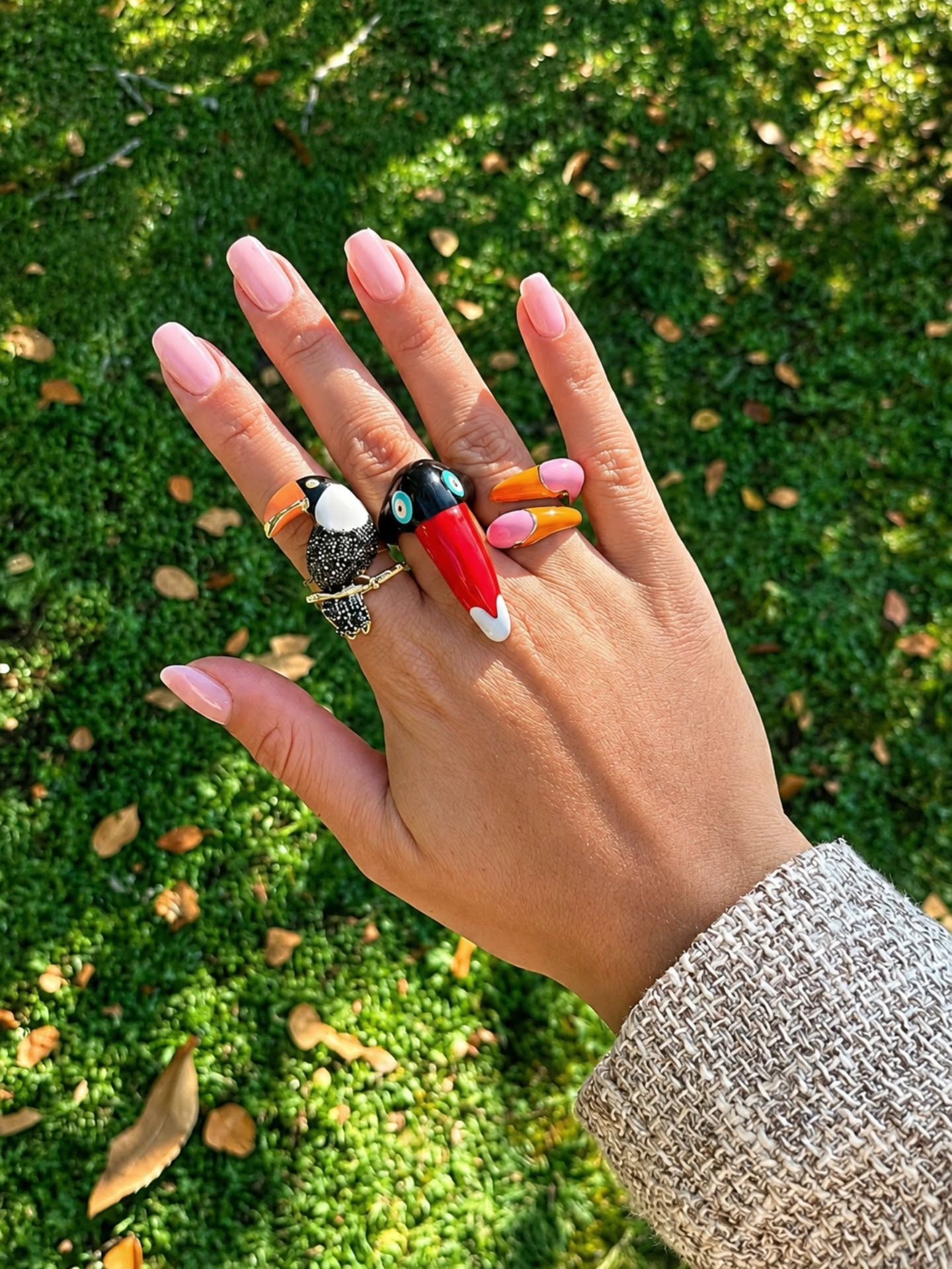 Anillos Tropicales