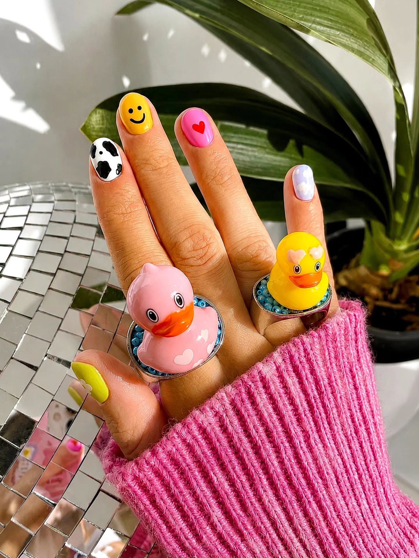 Anillos de Pato