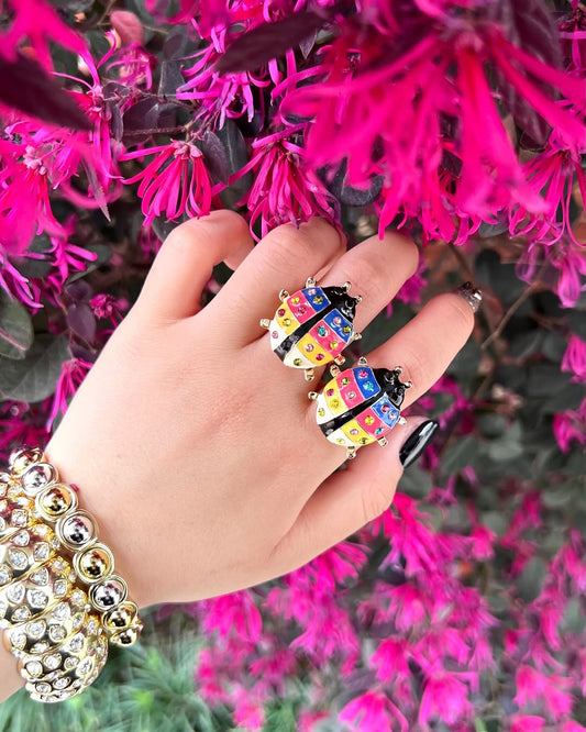 Anillo Catarina Colores
