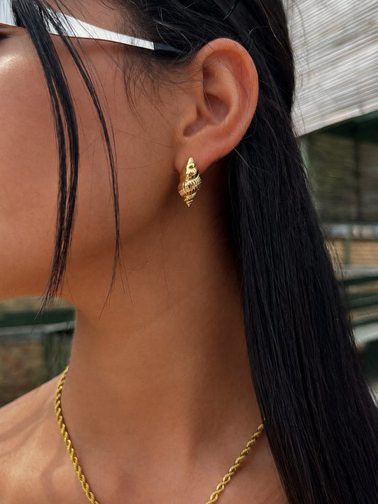 Aretes de Caracol