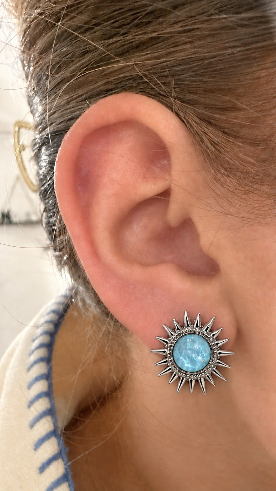 Aretes de Picos