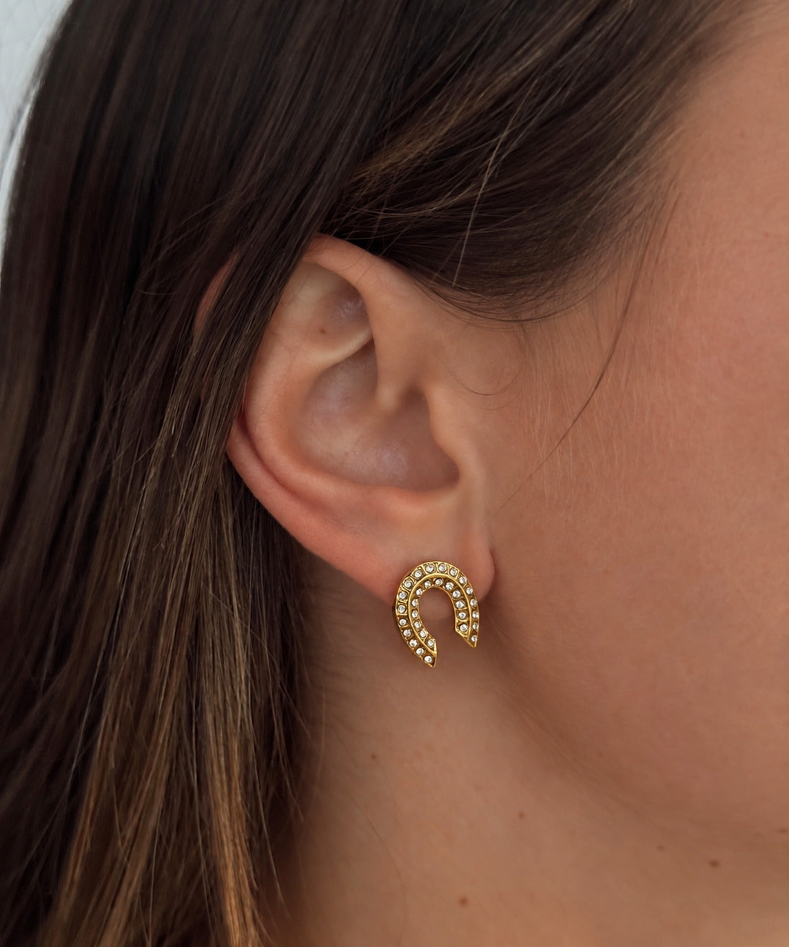 Aretes de Herradura