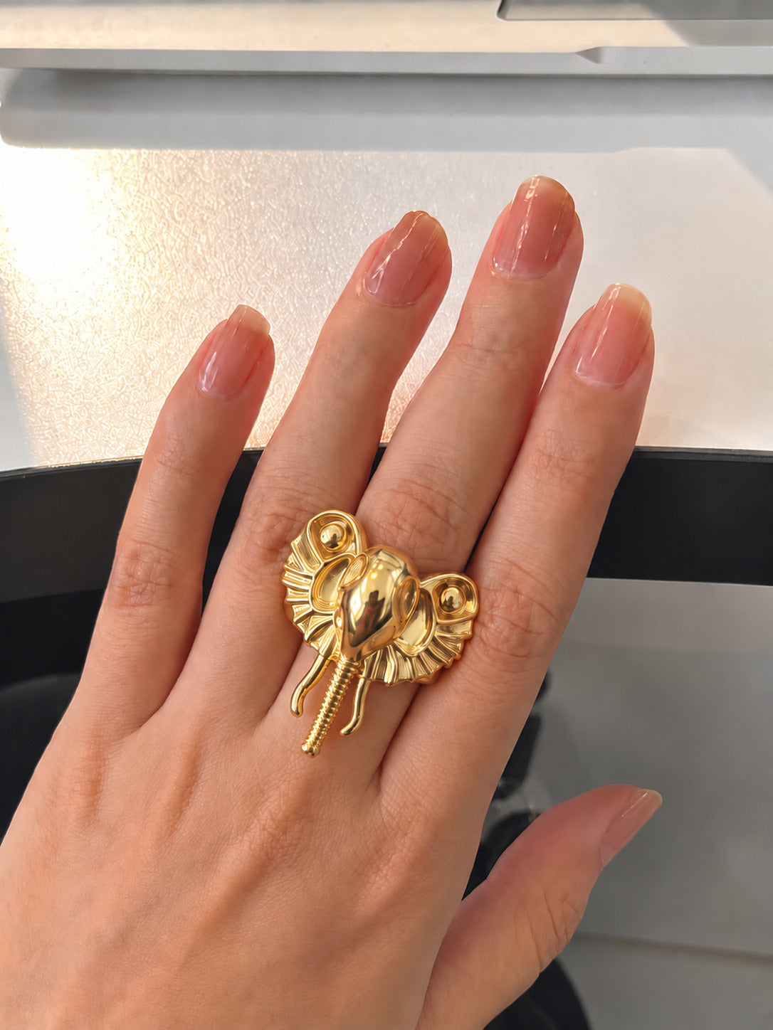 Anillo Elefante