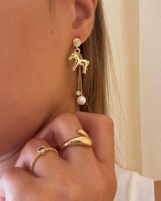 Aretes Largos de Caballito