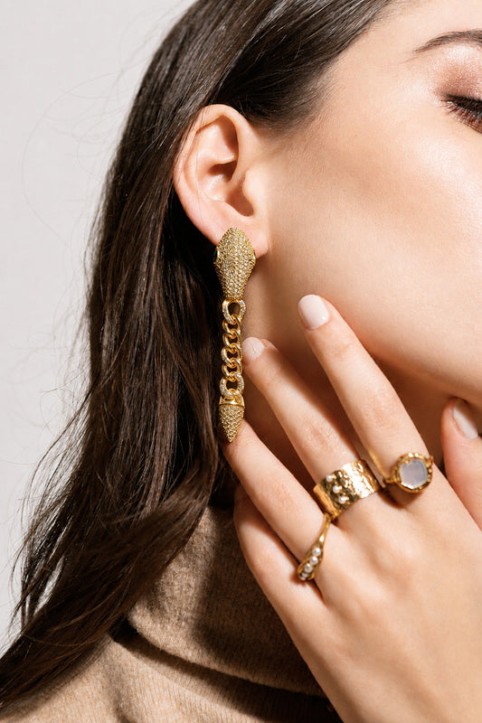 Aretes Largos de Serpiente