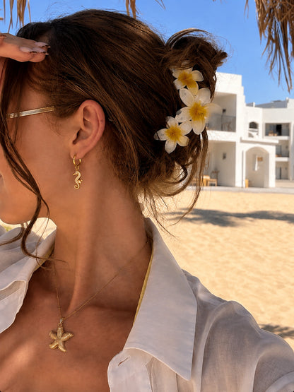 Aretes de Caballito de Mar