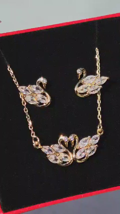 Set Cisne
